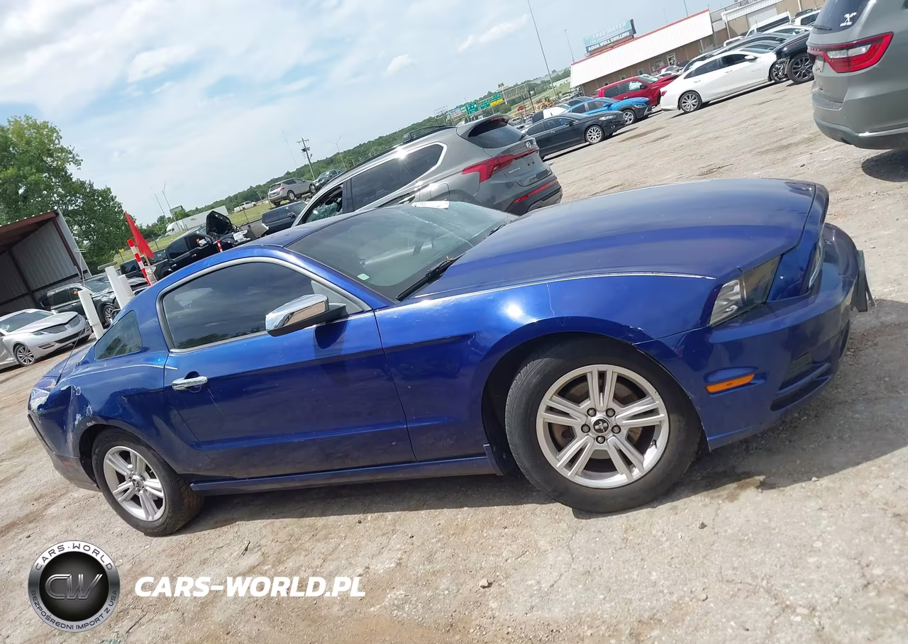 2014 Ford Mustang V6-V6 Premium VIN:1ZVBP8AMXE5313438 - 13