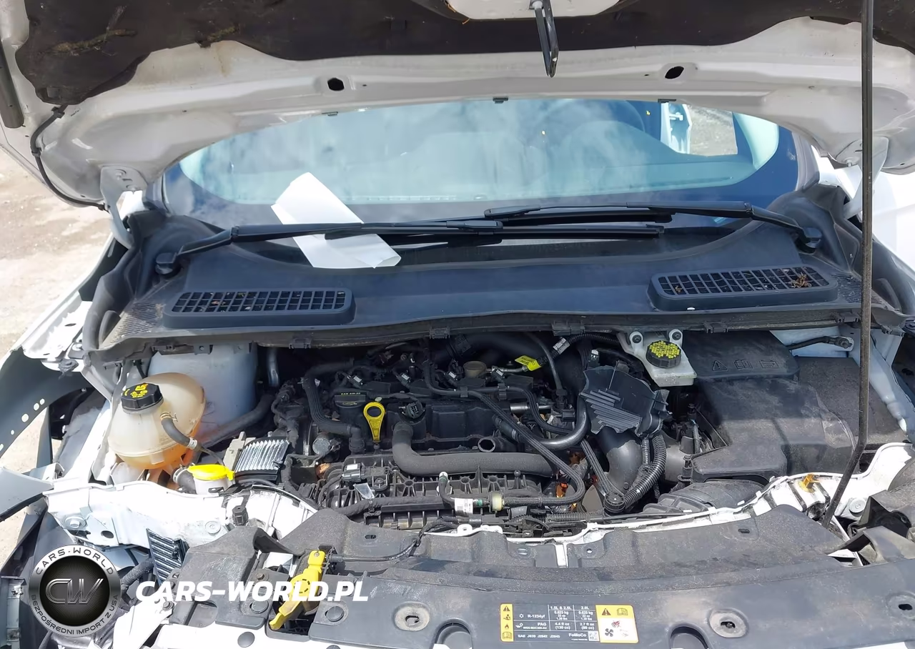 2019 Ford Escape Se VIN:1FMCU0GD9KUB66969 - 10