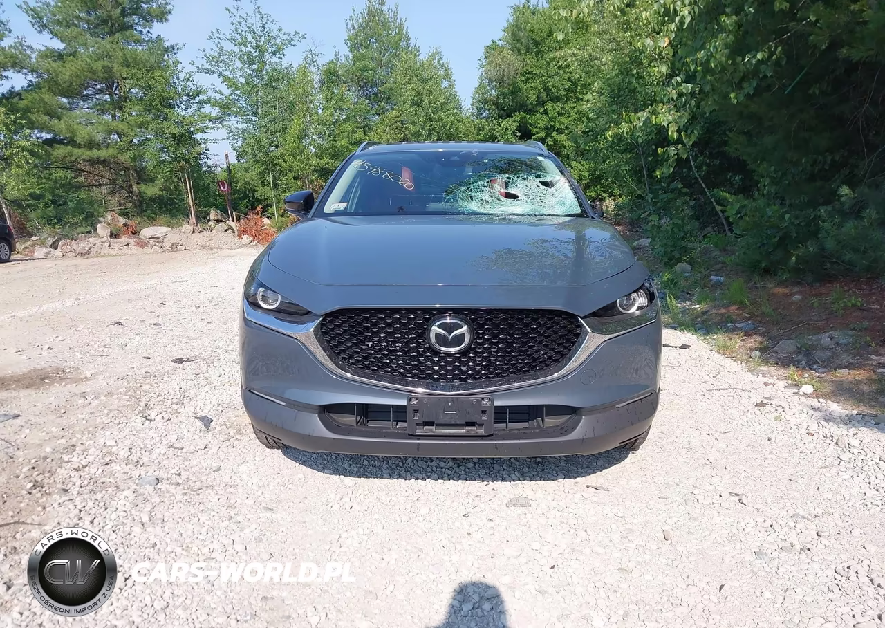 2023 Mazda Cx-30 2.5 S Carbon Edition VIN:3MVDMBCM3PM583038 - 12