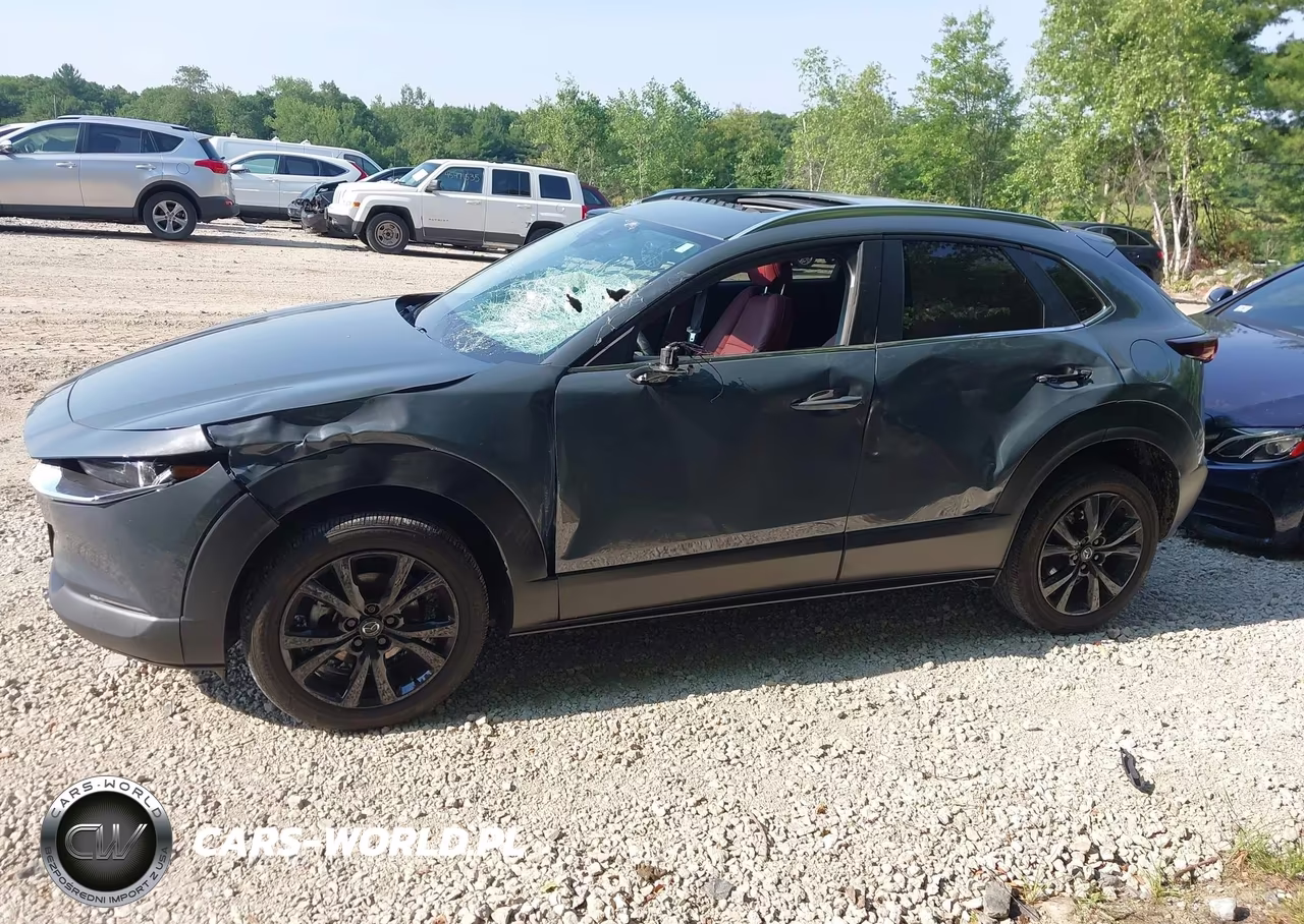 2023 Mazda Cx-30 2.5 S Carbon Edition VIN:3MVDMBCM3PM583038 - 14