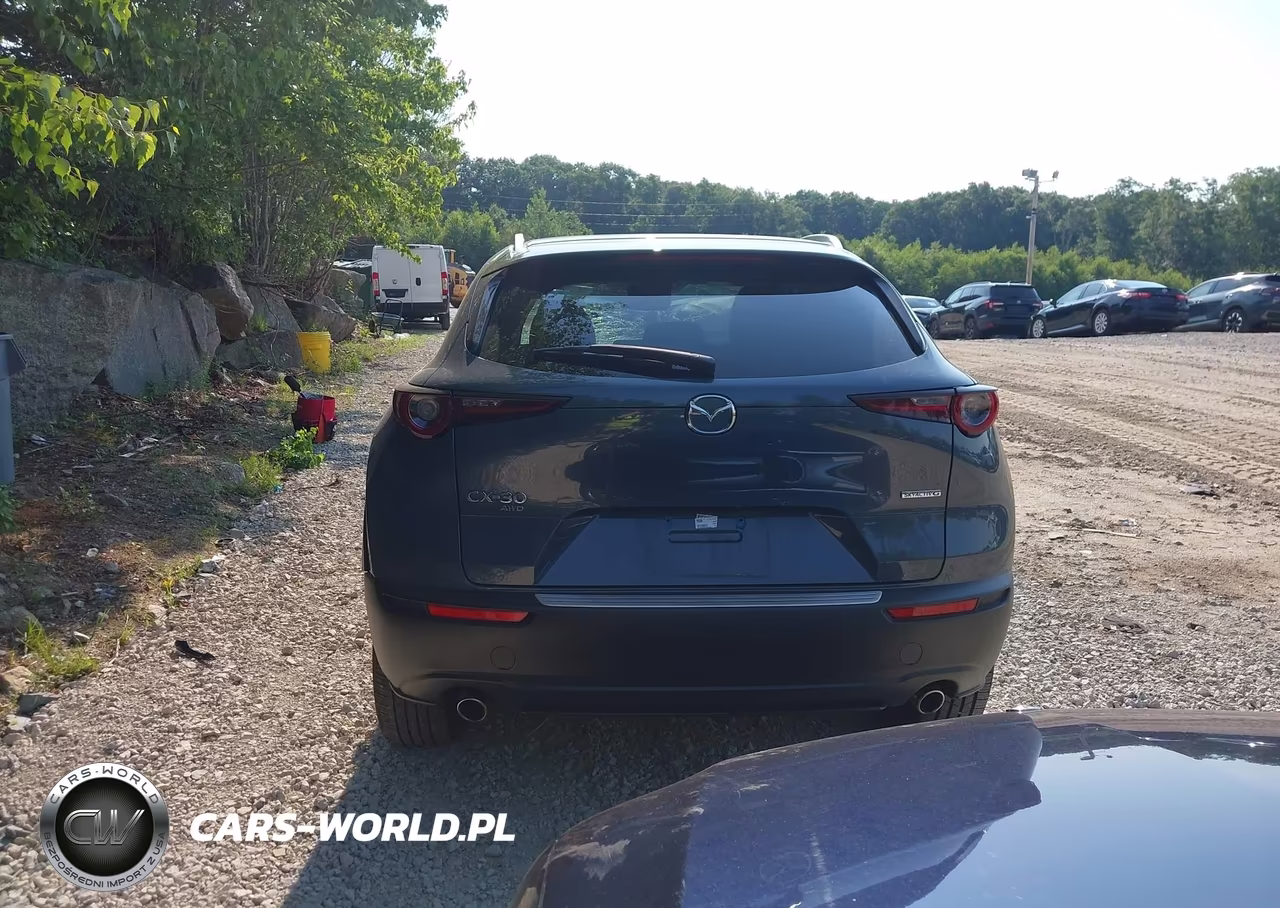 2023 Mazda Cx-30 2.5 S Carbon Edition VIN:3MVDMBCM3PM583038 - 16