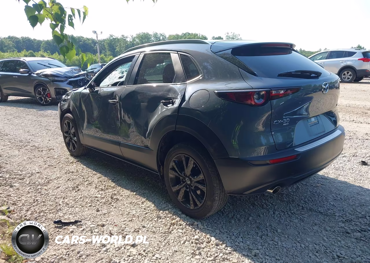 2023 Mazda Cx-30 2.5 S Carbon Edition VIN:3MVDMBCM3PM583038 - 3