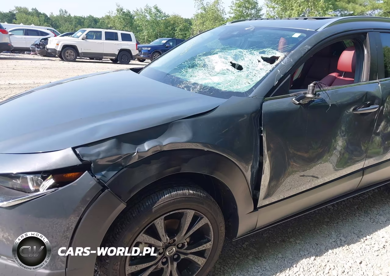 2023 Mazda Cx-30 2.5 S Carbon Edition VIN:3MVDMBCM3PM583038 - 6