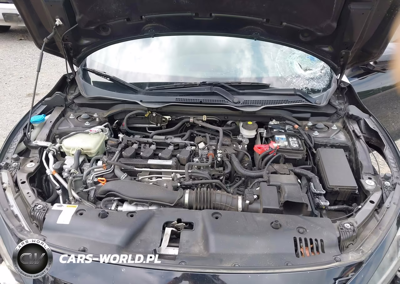 2019 Honda Civic Ex VIN:2HGFC3B38KH351782 - 10