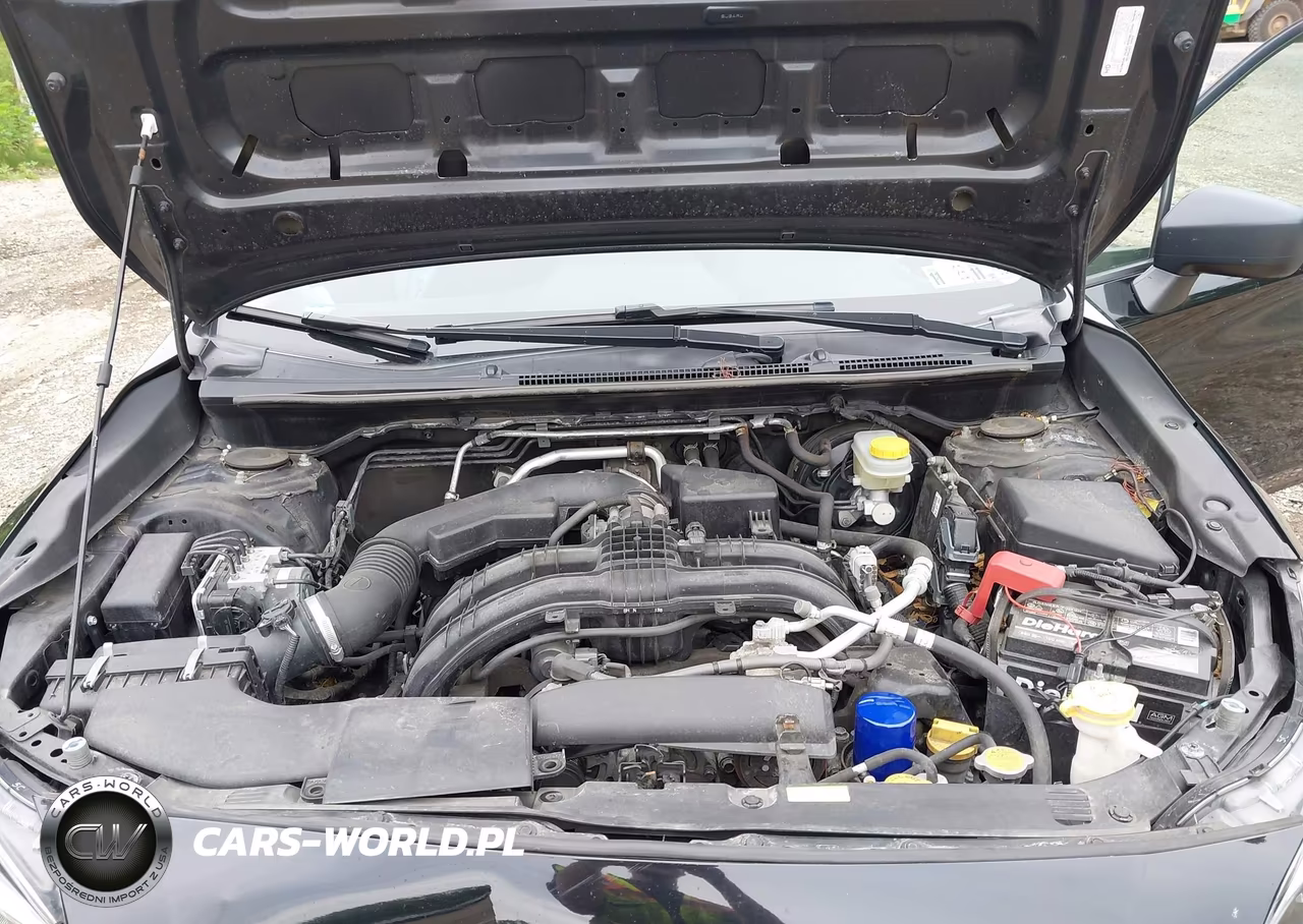 2019 Subaru Crosstrek 2.0I VIN:JF2GTABC2K8239980 - 10