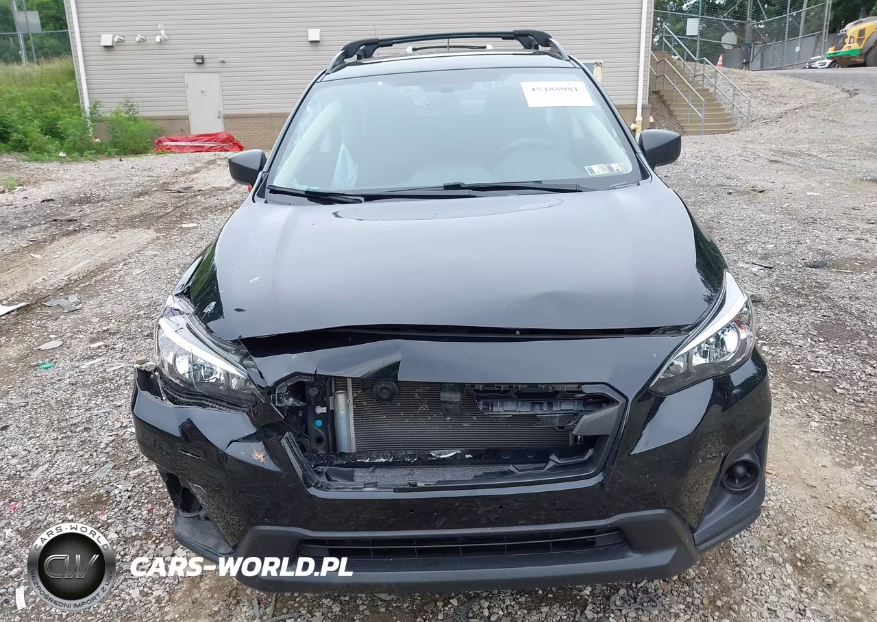 2019 Subaru Crosstrek 2.0I VIN:JF2GTABC2K8239980 - 12