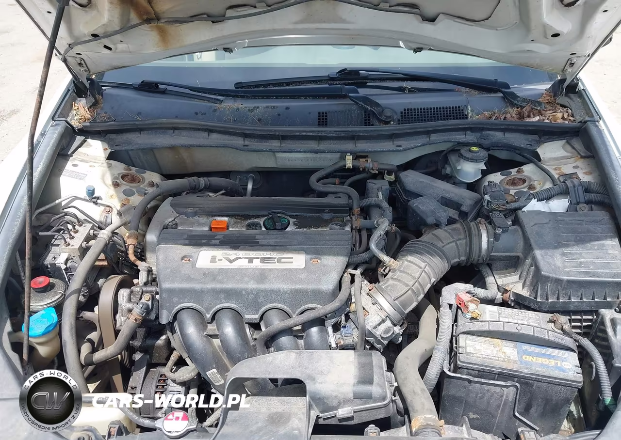 2009 Honda Accord 2.4 Lx VIN:1HGCP26329A173890 - 10