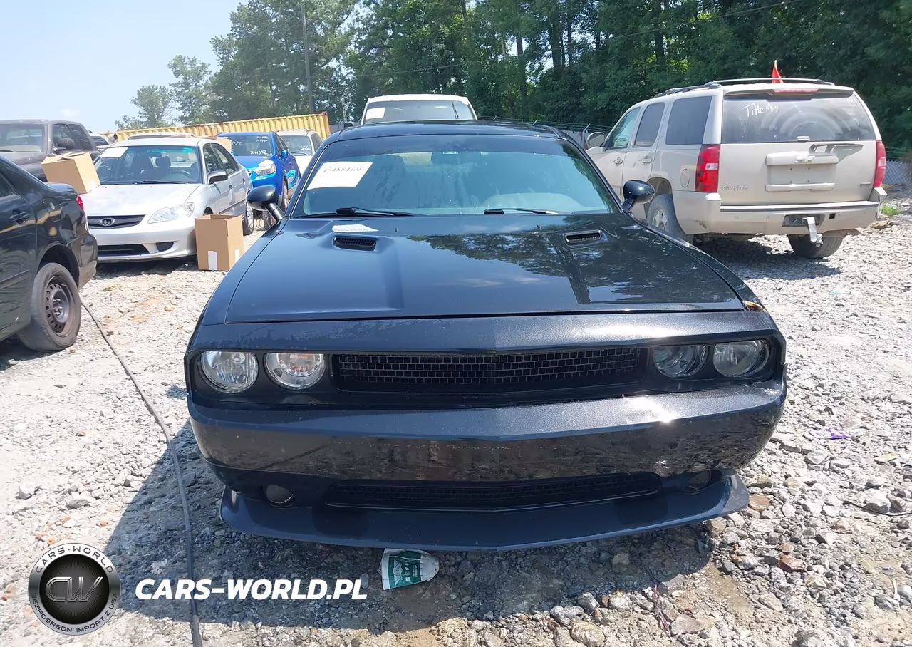 2013 Dodge Challenger Sxt Plus VIN:2C3CDYAG0DH665871 - 12