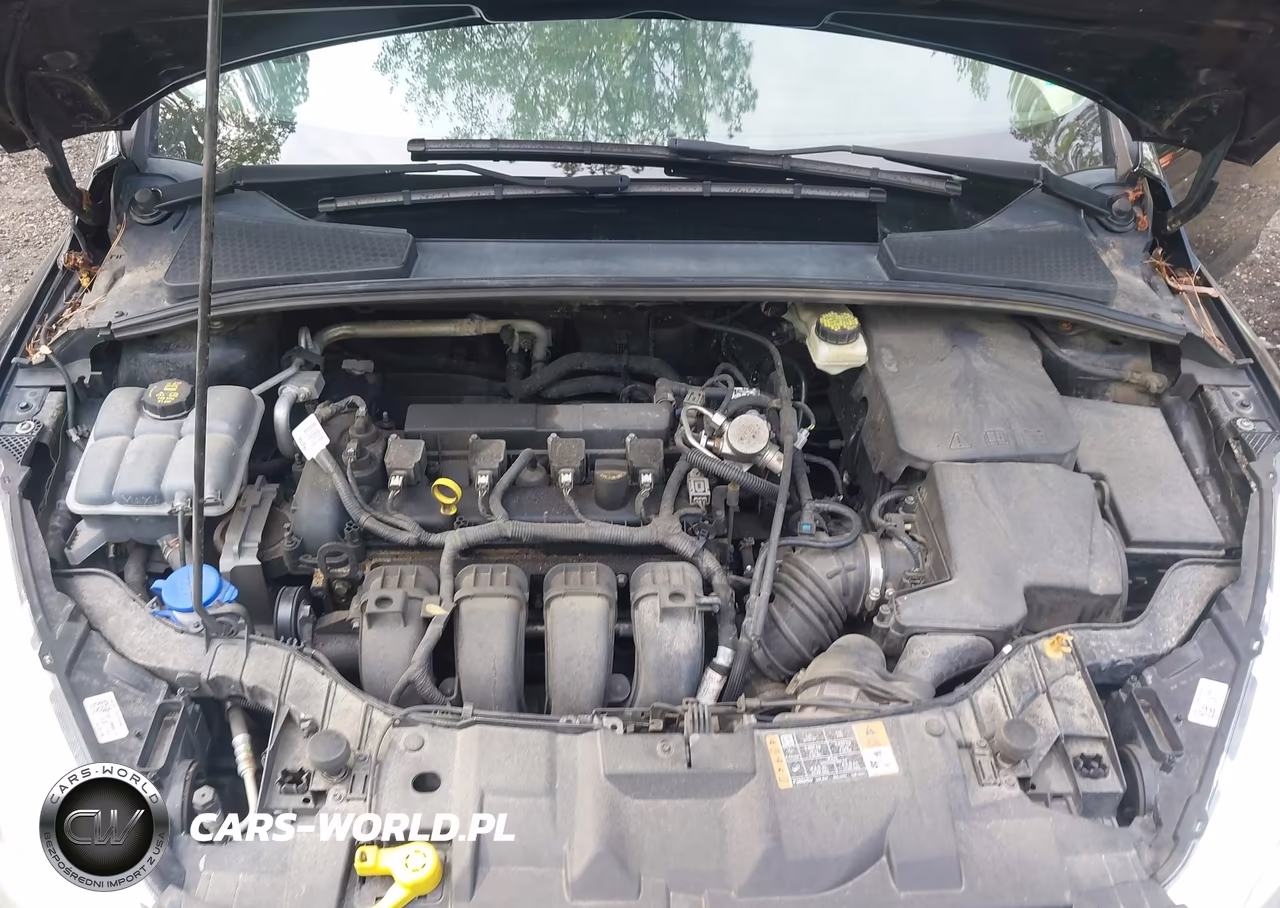 2017 Ford Focus Se VIN:1FADP3F28HL266549 - 10