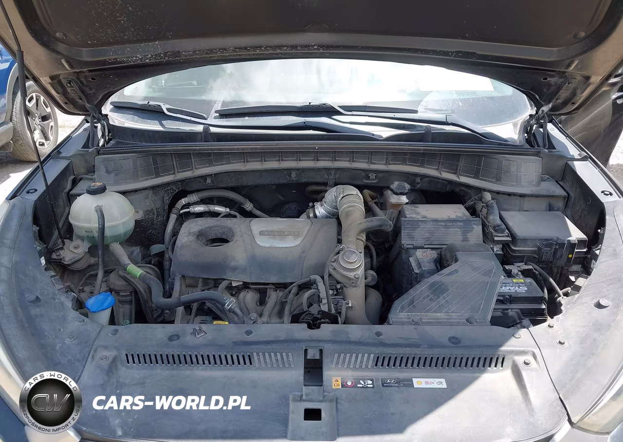 2018 Hyundai Tucson Value VIN:KM8J3CA25JU676799 - 10
