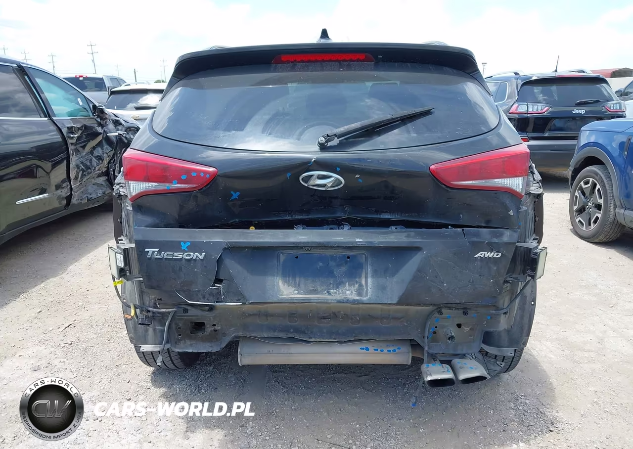 2018 Hyundai Tucson Value VIN:KM8J3CA25JU676799 - 17