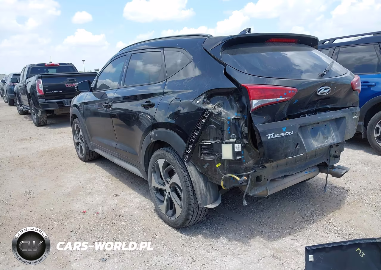 2018 Hyundai Tucson Value VIN:KM8J3CA25JU676799 - 3