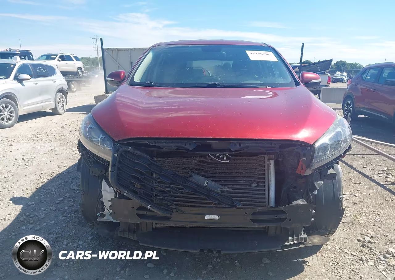 2019 Kia Sorento 3.3L Lx VIN:5XYPG4A52KG489235 - 13