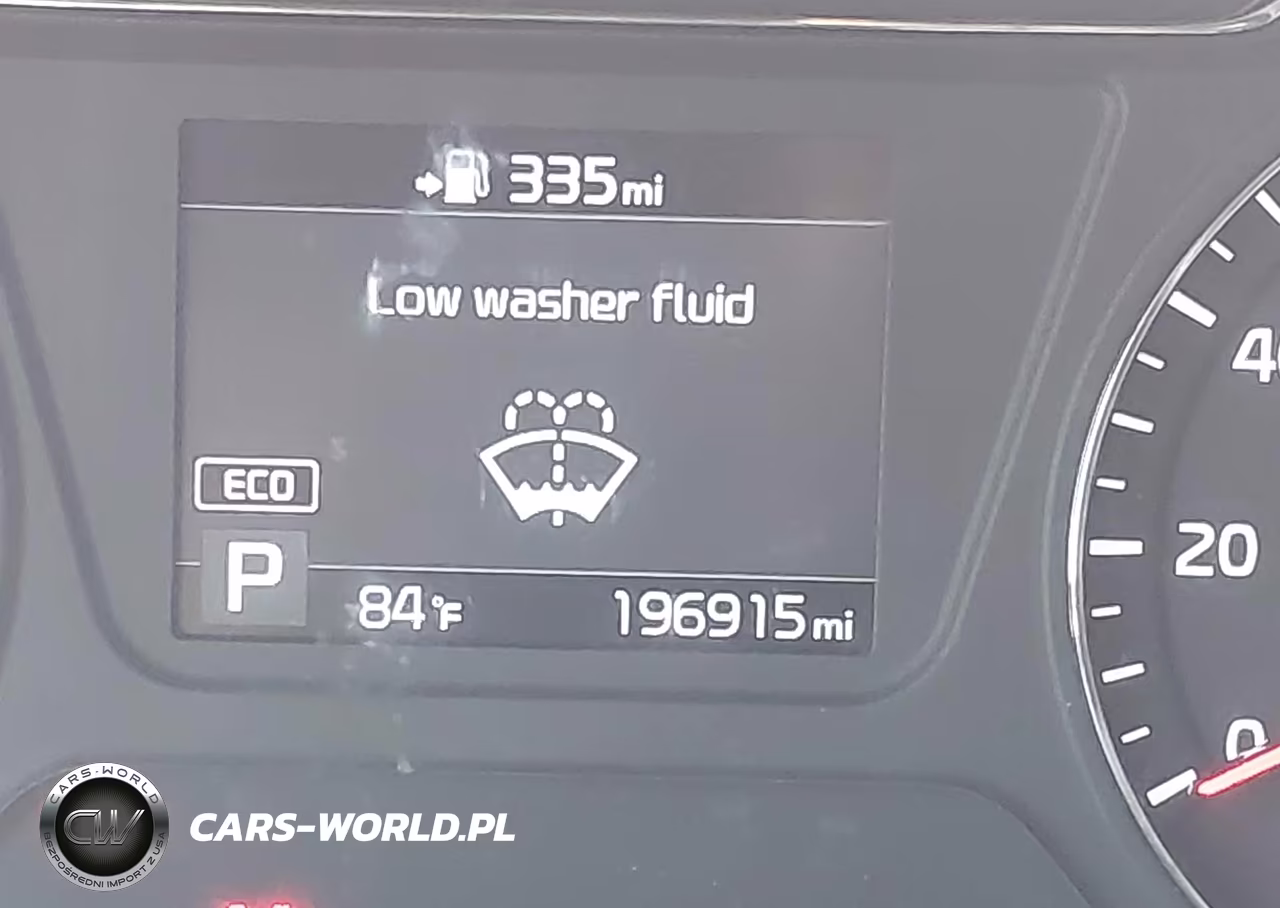 2019 Kia Sorento 3.3L Lx VIN:5XYPG4A52KG489235 - 16
