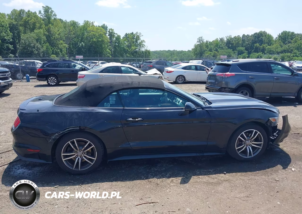 2015 Ford Mustang Ecoboost Premium VIN:1FATP8UH2F5364381 - 14