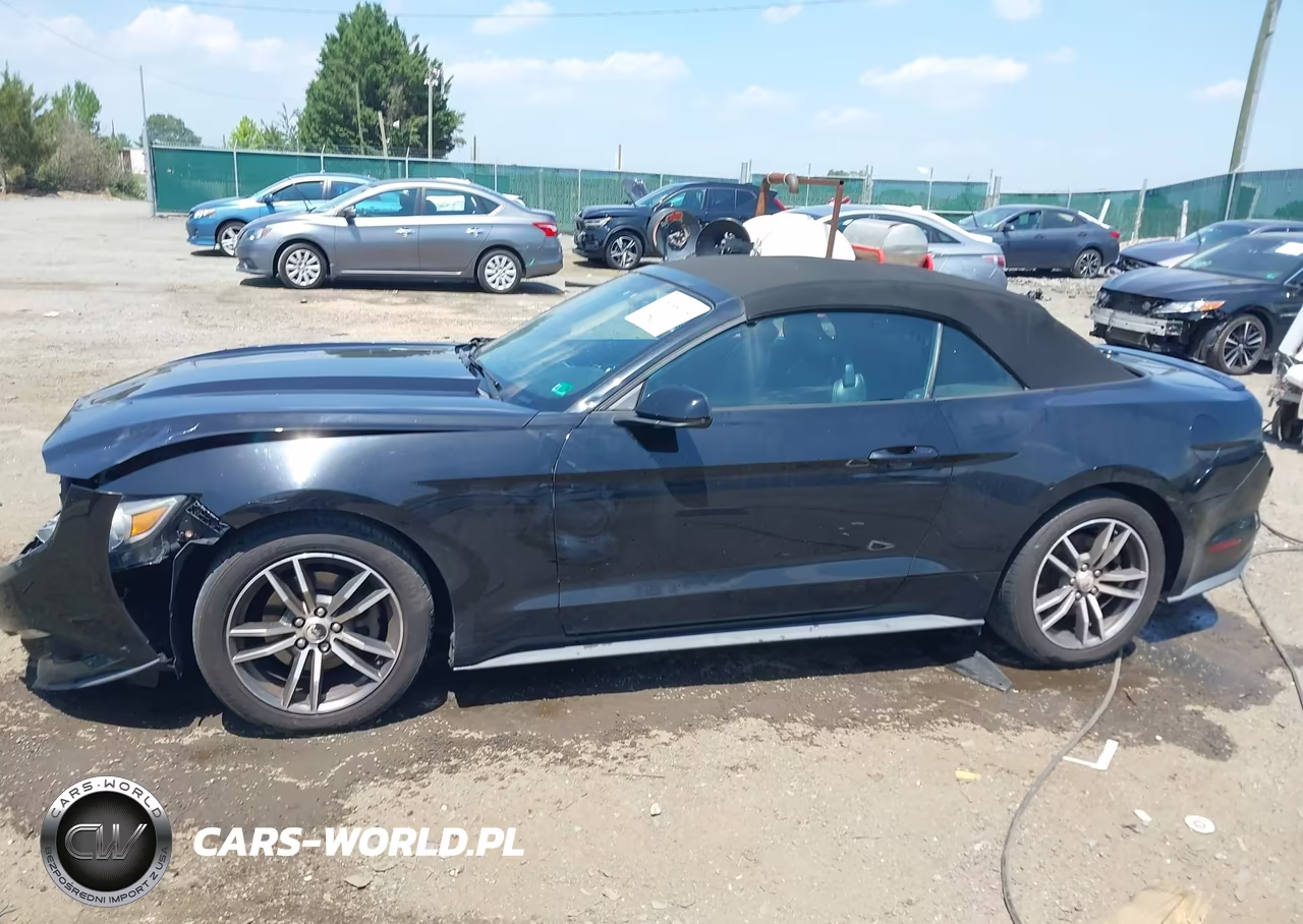 2015 Ford Mustang Ecoboost Premium VIN:1FATP8UH2F5364381 - 15