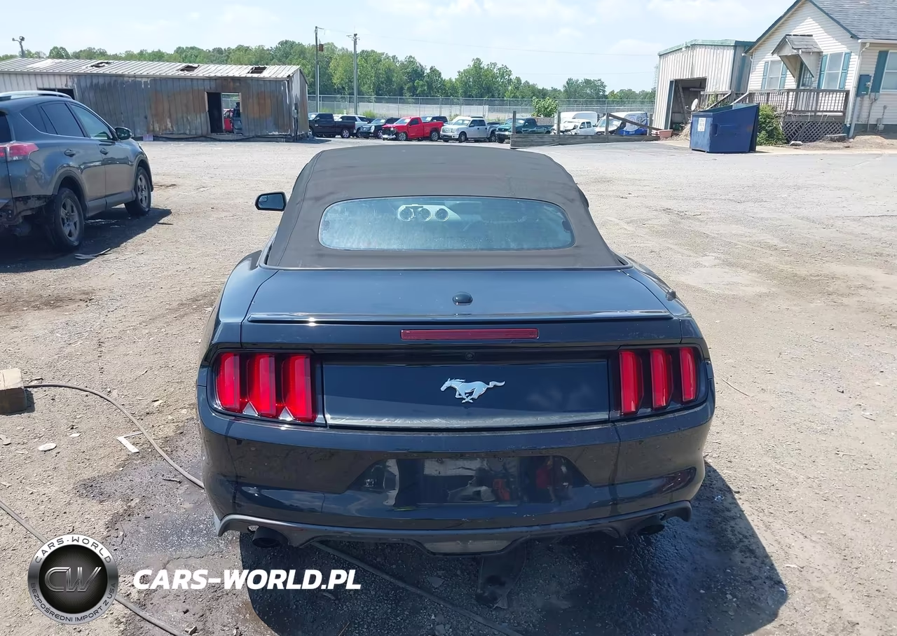 2015 Ford Mustang Ecoboost Premium VIN:1FATP8UH2F5364381 - 17