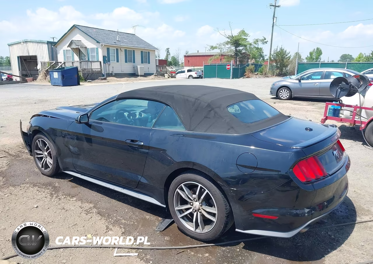 2015 Ford Mustang Ecoboost Premium VIN:1FATP8UH2F5364381 - 3