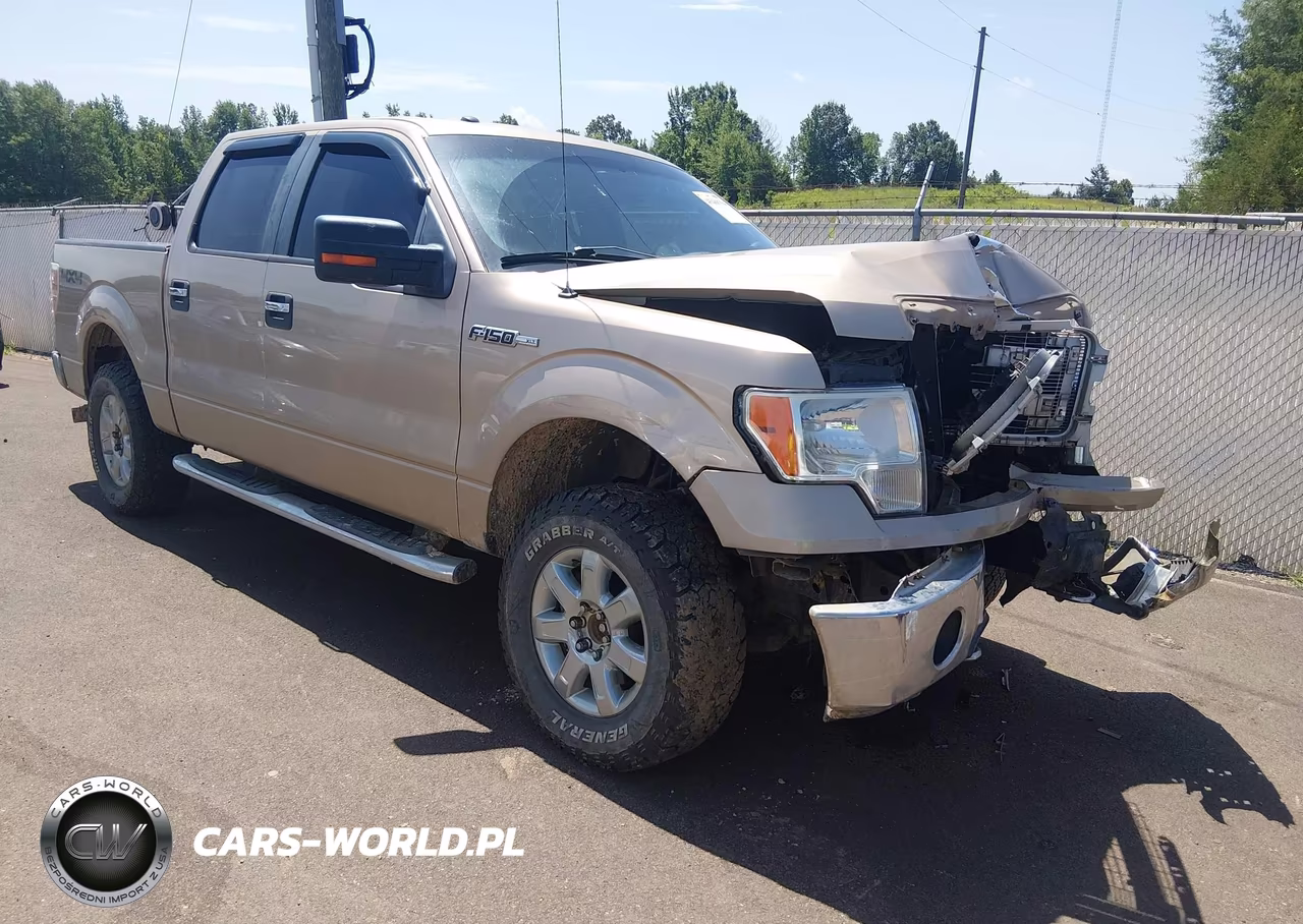 2014 Ford F-150 Xlt – zdjęcie 1 z 17