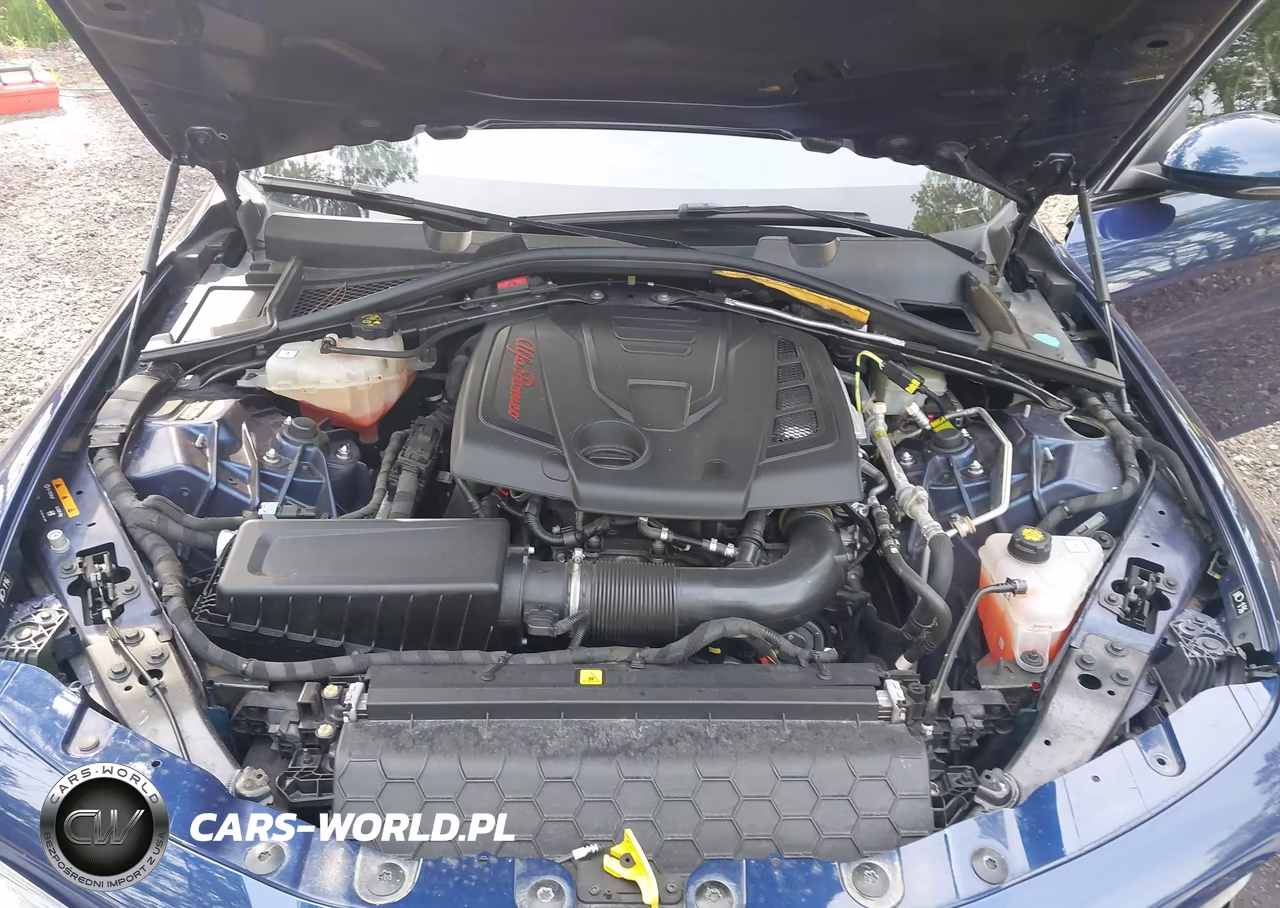 2019 Alfa Romeo Giulia Ti Sport Awd VIN:ZARFANBN7K7608501 - 10