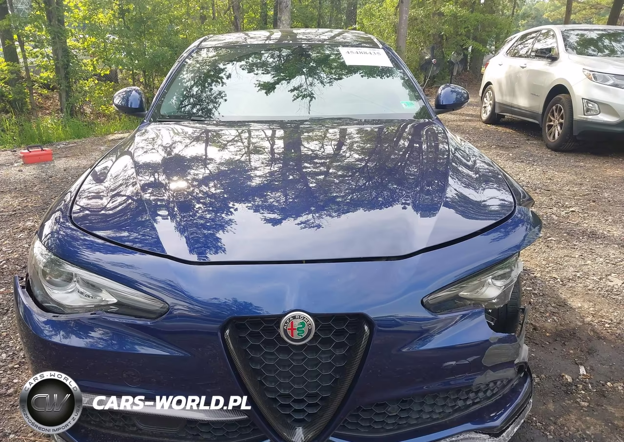 2019 Alfa Romeo Giulia Ti Sport Awd VIN:ZARFANBN7K7608501 - 12