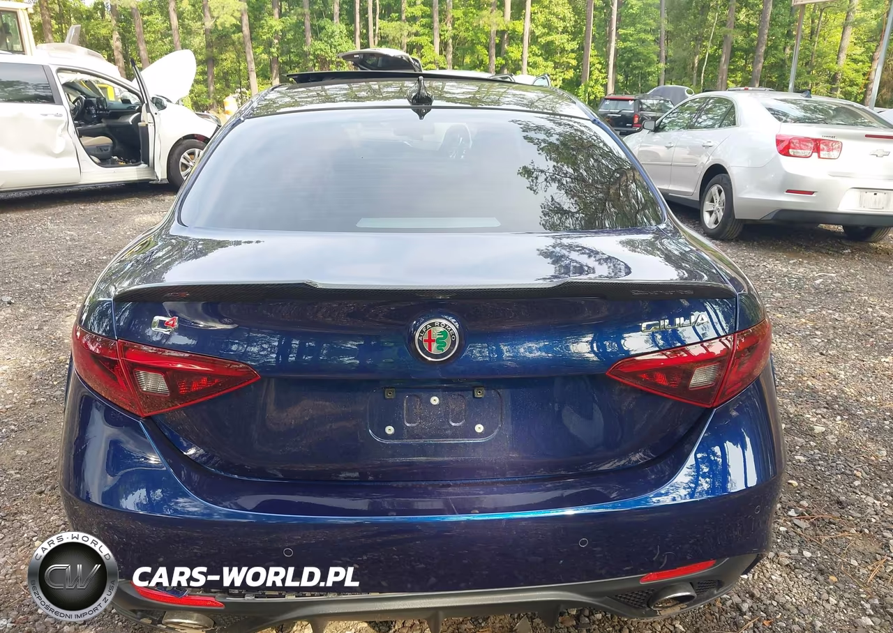 2019 Alfa Romeo Giulia Ti Sport Awd VIN:ZARFANBN7K7608501 - 16