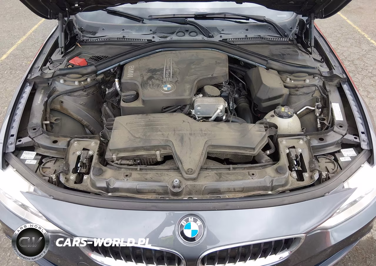 2016 BMW 428I Gran Coupe VIN:WBA4A9C50GGL89473 - 10