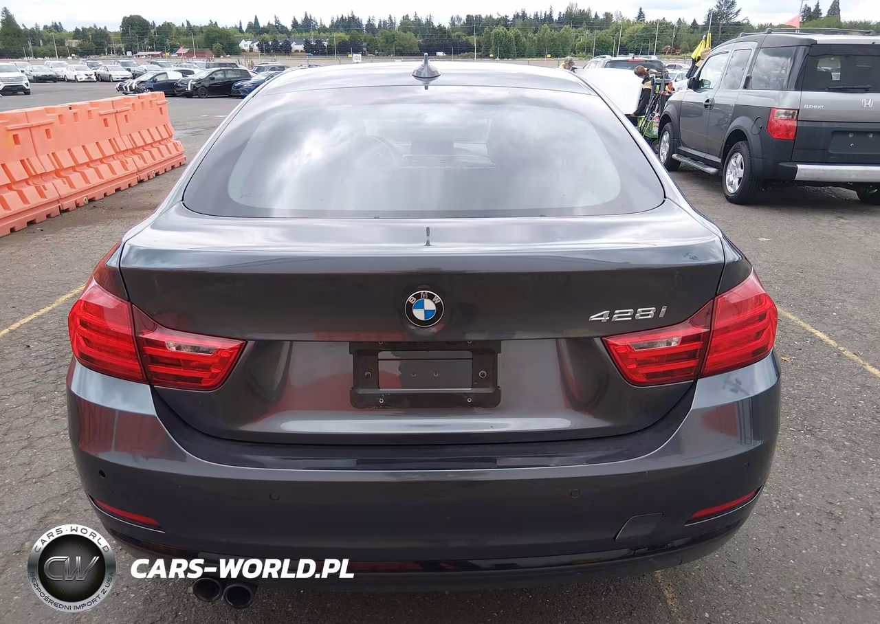 2016 BMW 428I Gran Coupe VIN:WBA4A9C50GGL89473 - 17