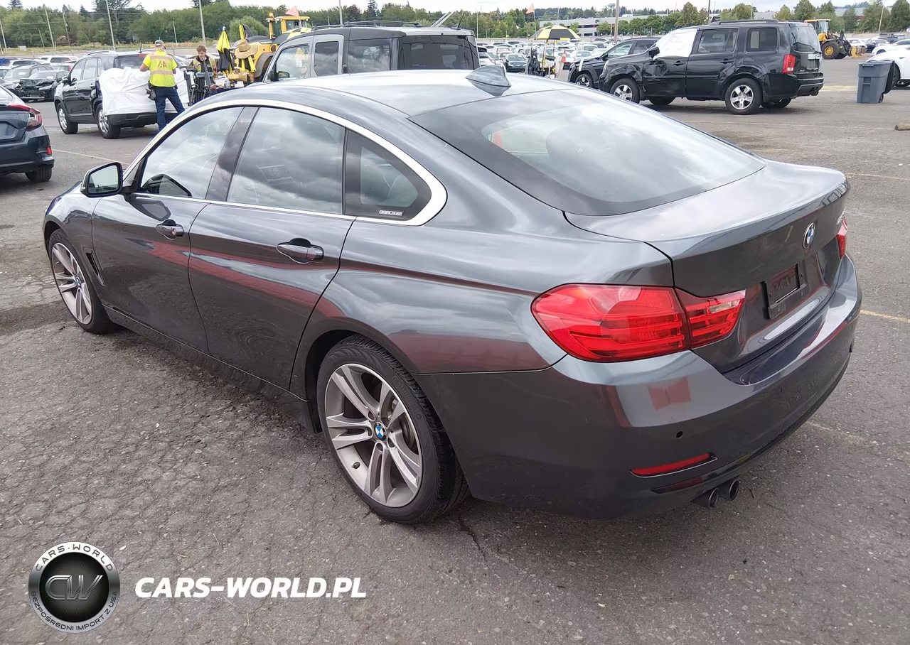 2016 BMW 428I Gran Coupe VIN:WBA4A9C50GGL89473 - 3