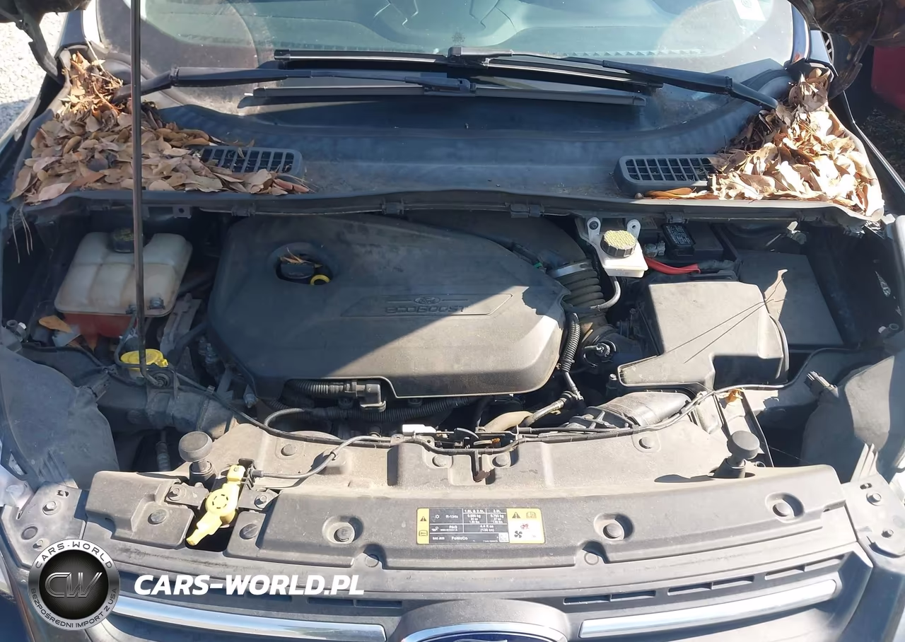 2015 Ford Escape Se VIN:1FMCU0GX5FUA47025 - 10