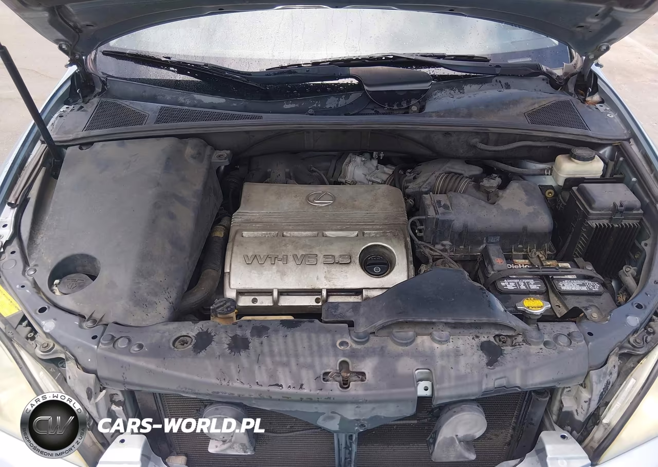 2005 Lexus Rx 330 VIN:2T2GA31U35C036062 - 10