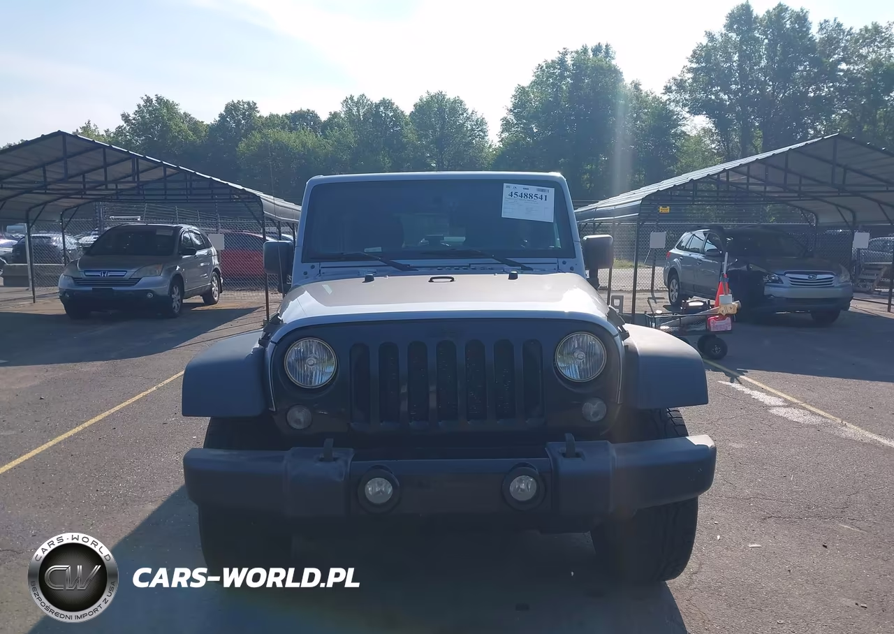 2016 Jeep Wrangler Unlimited Willys Wheeler VIN:1C4BJWDGXGL135091 - 12