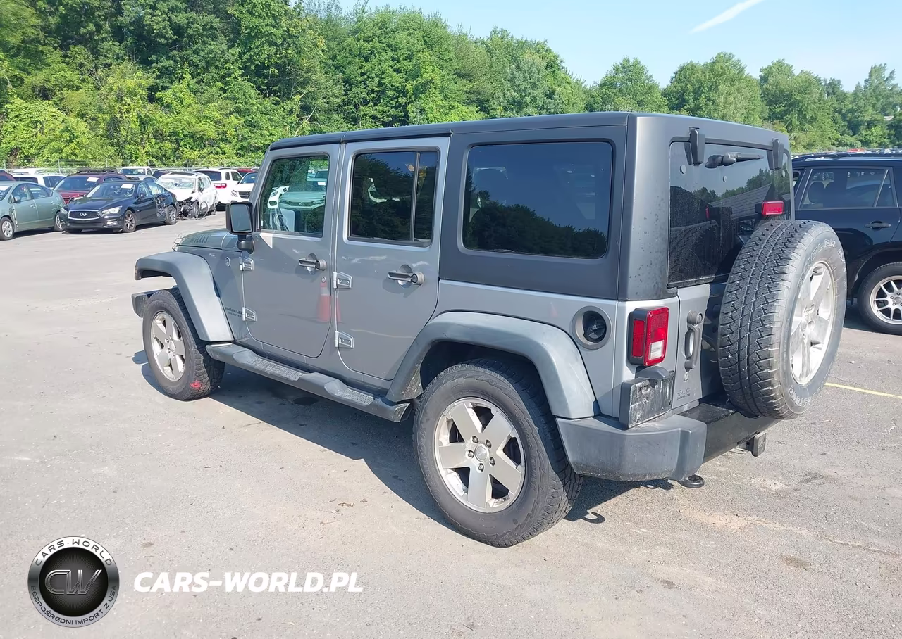 2016 Jeep Wrangler Unlimited Willys Wheeler VIN:1C4BJWDGXGL135091 - 3