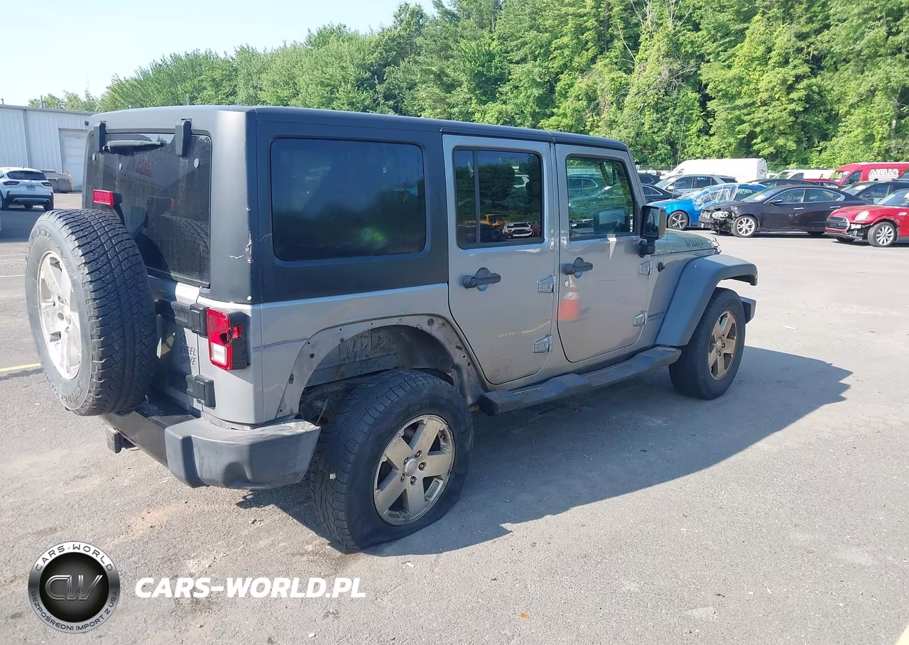 2016 Jeep Wrangler Unlimited Willys Wheeler VIN:1C4BJWDGXGL135091 - 4