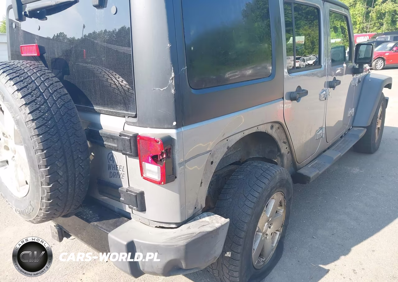 2016 Jeep Wrangler Unlimited Willys Wheeler VIN:1C4BJWDGXGL135091 - 6