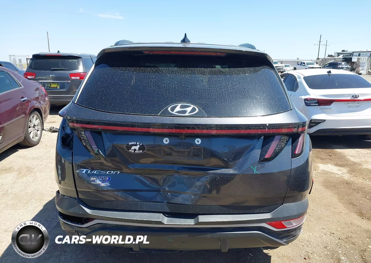2022 Hyundai Tucson Sel VIN:5NMJF3AE6NH065439 - 17
