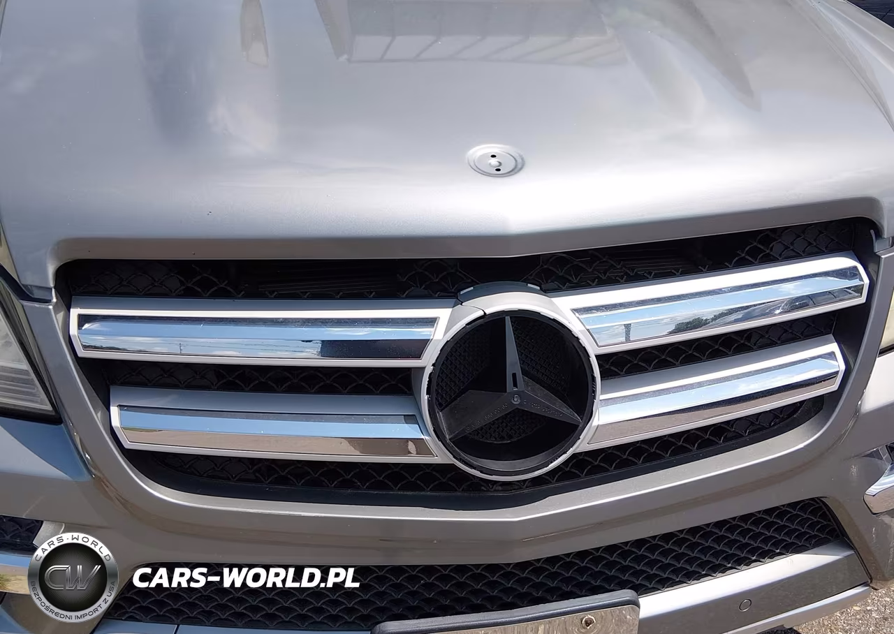 2011 Mercedes-Benz Gl 350 Bluetec VIN:4JGBF2FE7BA625106 - 6