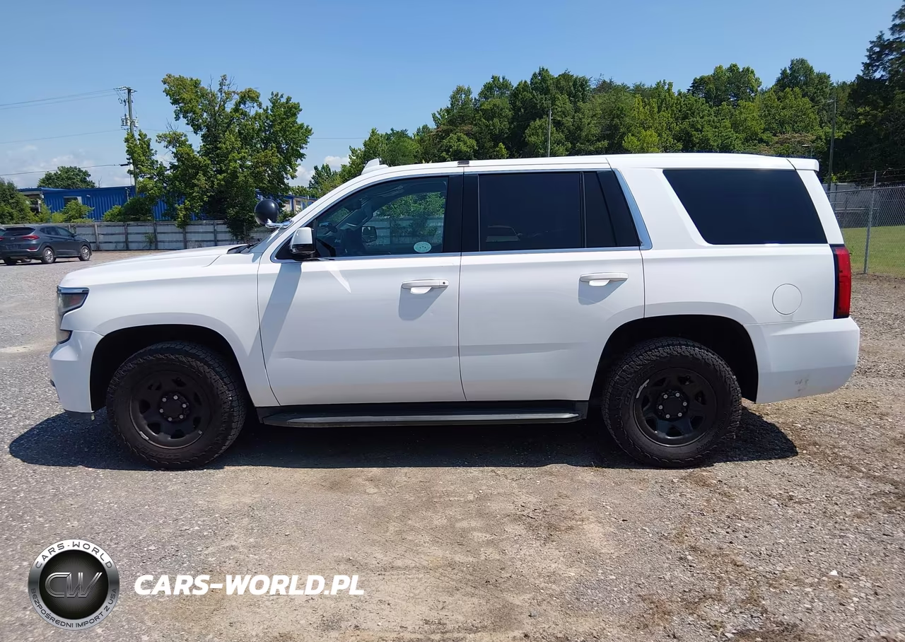 2019 Chevrolet Tahoe Commercial Fleet VIN:1GNLCDEC6KR380787 - 19
