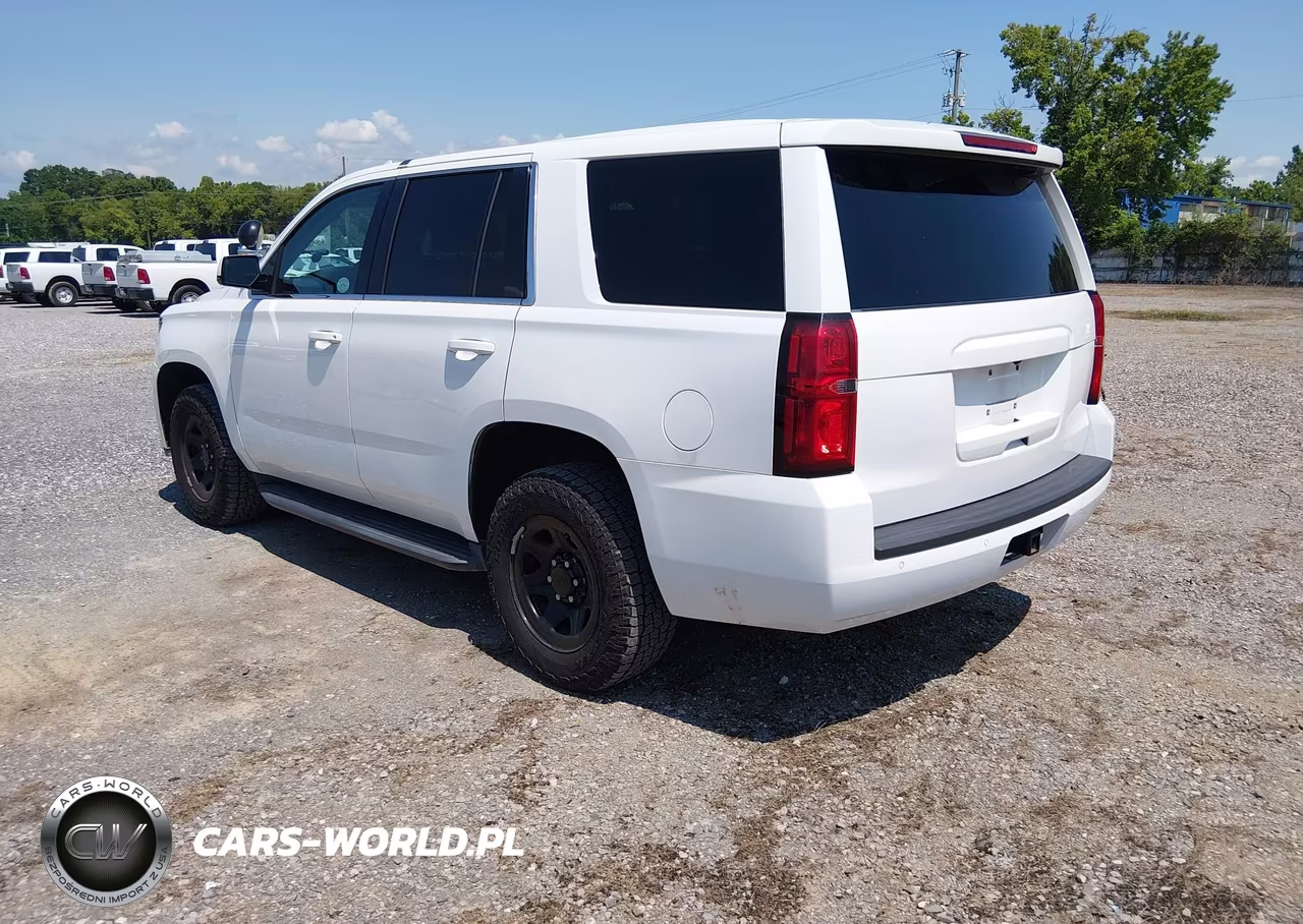 2019 Chevrolet Tahoe Commercial Fleet VIN:1GNLCDEC6KR380787 - 3