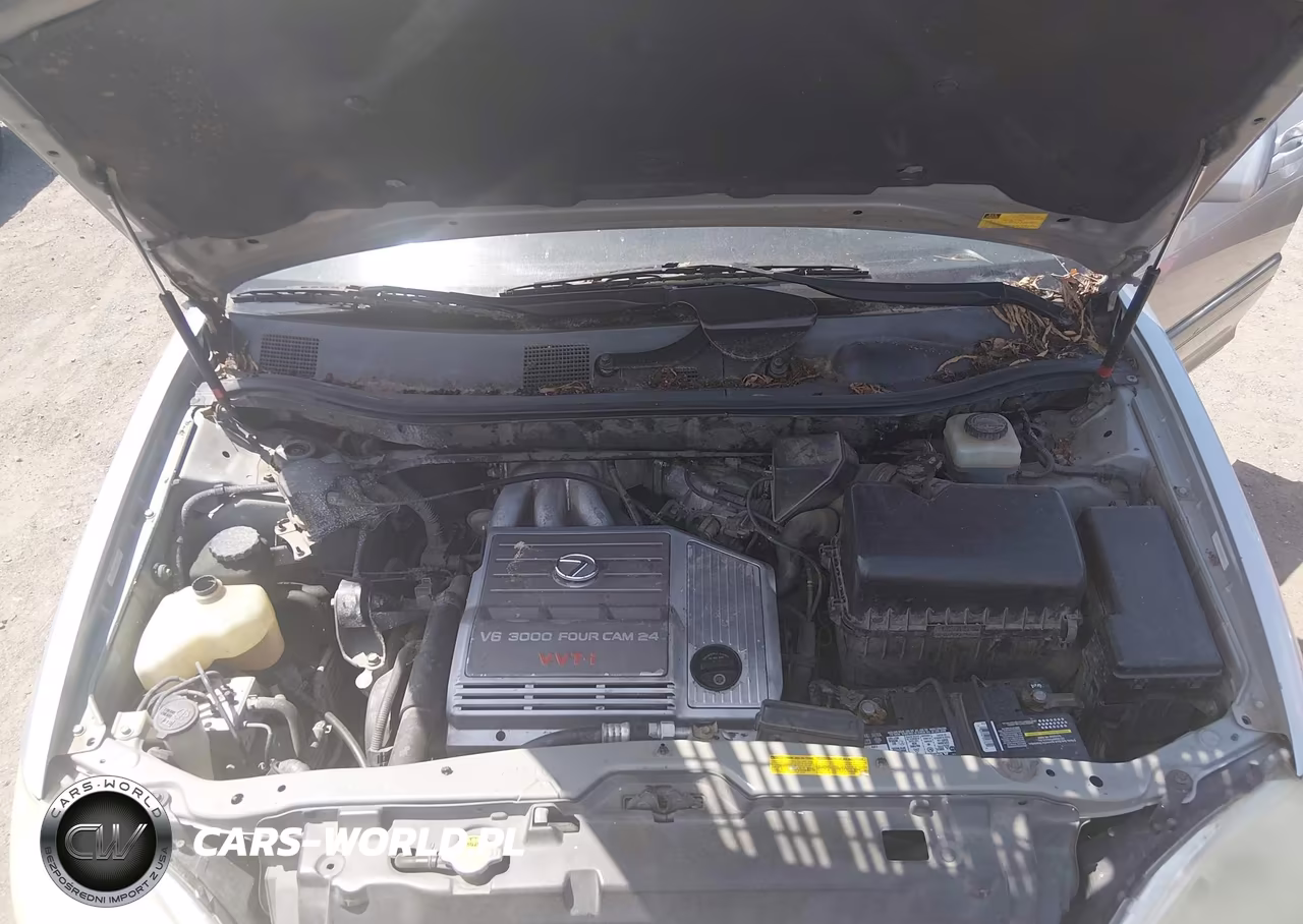 2002 Lexus Rx 300 VIN:JTJHF10UX20271125 - 10