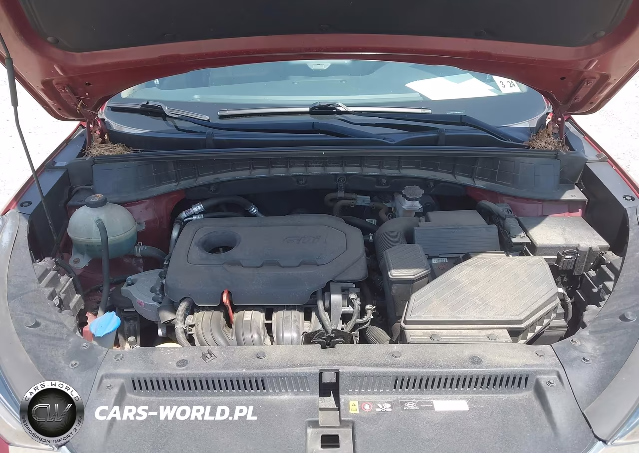 2019 Hyundai Tucson Ultimate VIN:KM8J3CAL3KU934571 - 10