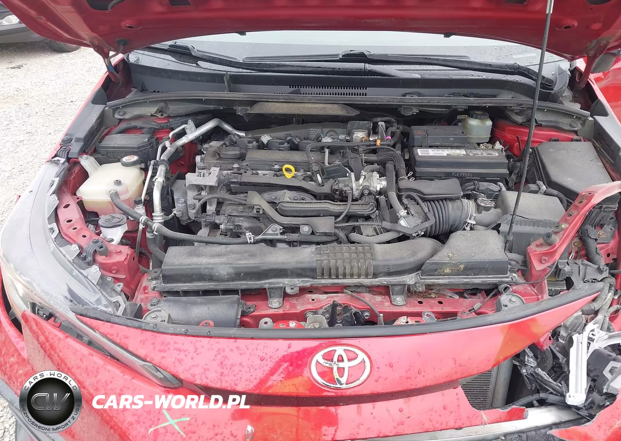 2020 Toyota Corolla Se VIN:JTDS4RCE6LJ030823 - 10