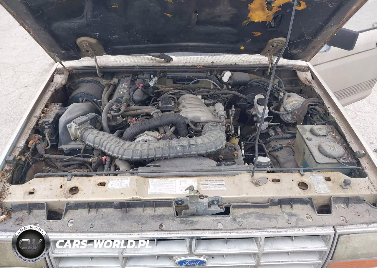 1991 Ford Ranger VIN:1FTCR10U5MUB40491 - 10