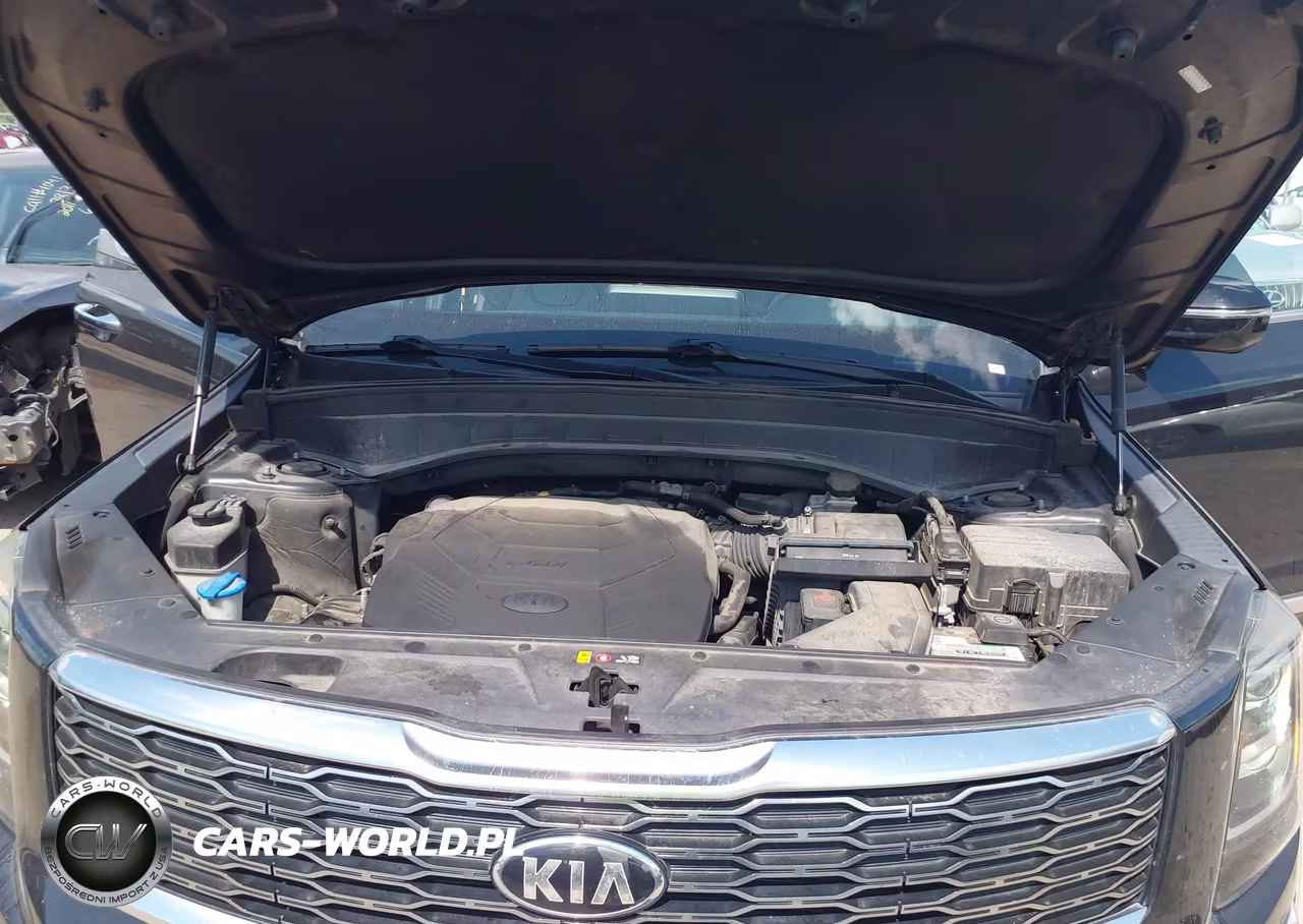 2020 Kia Telluride Sx VIN:5XYP54HC9LG009882 - 10