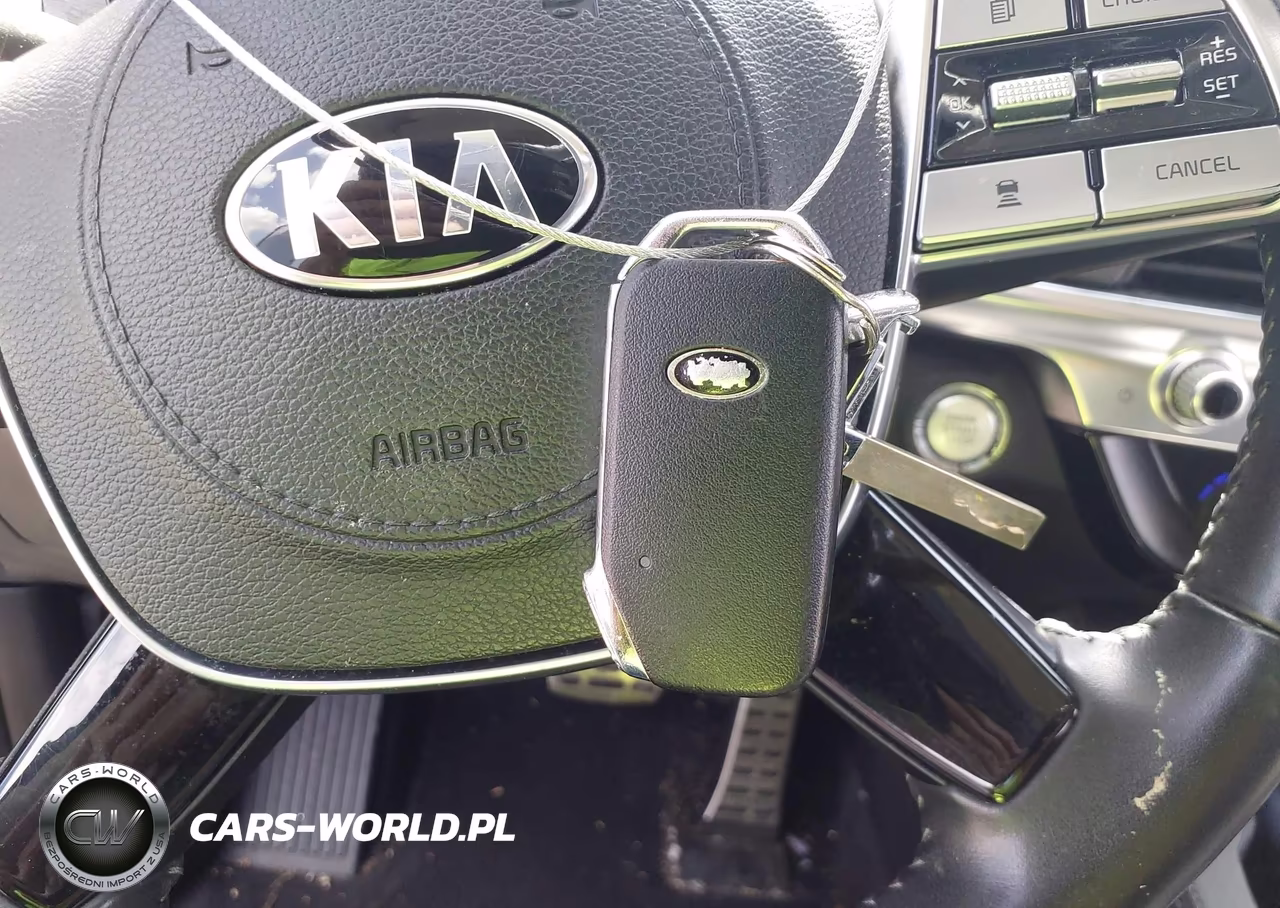 2020 Kia Telluride Sx VIN:5XYP54HC9LG009882 - 11