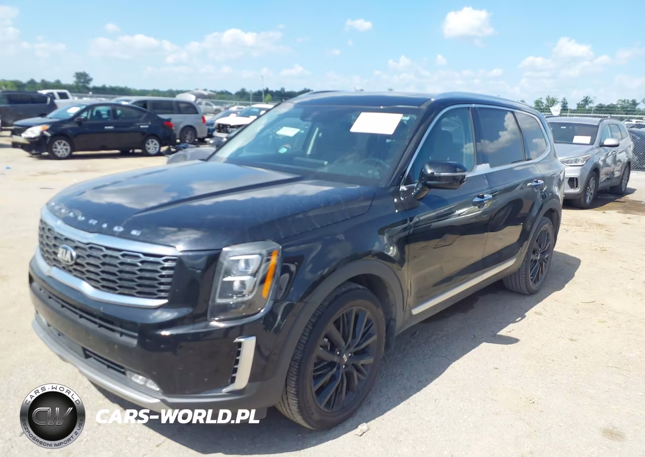 2020 Kia Telluride Sx VIN:5XYP54HC9LG009882 - 2