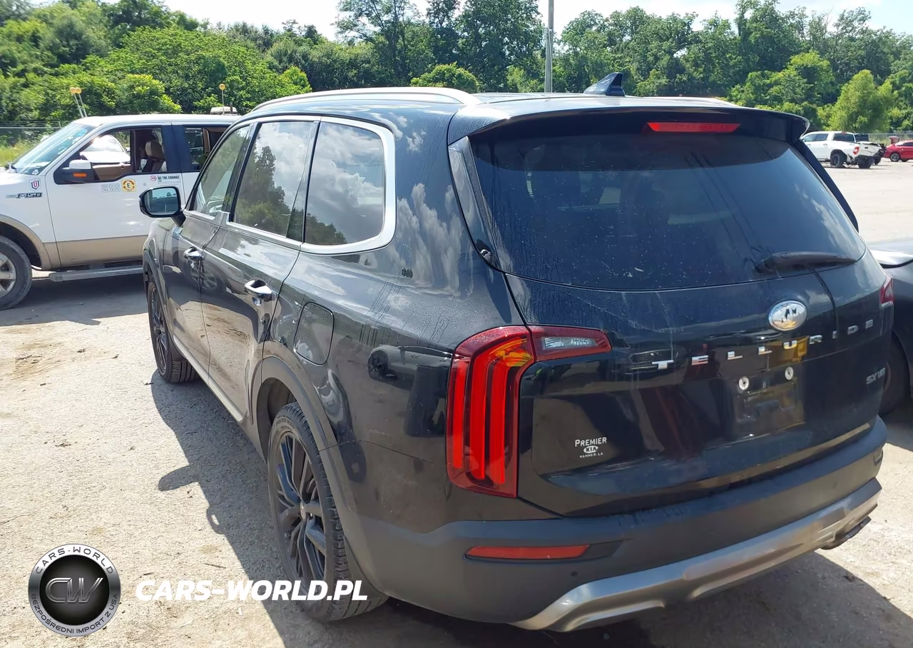 2020 Kia Telluride Sx VIN:5XYP54HC9LG009882 - 3
