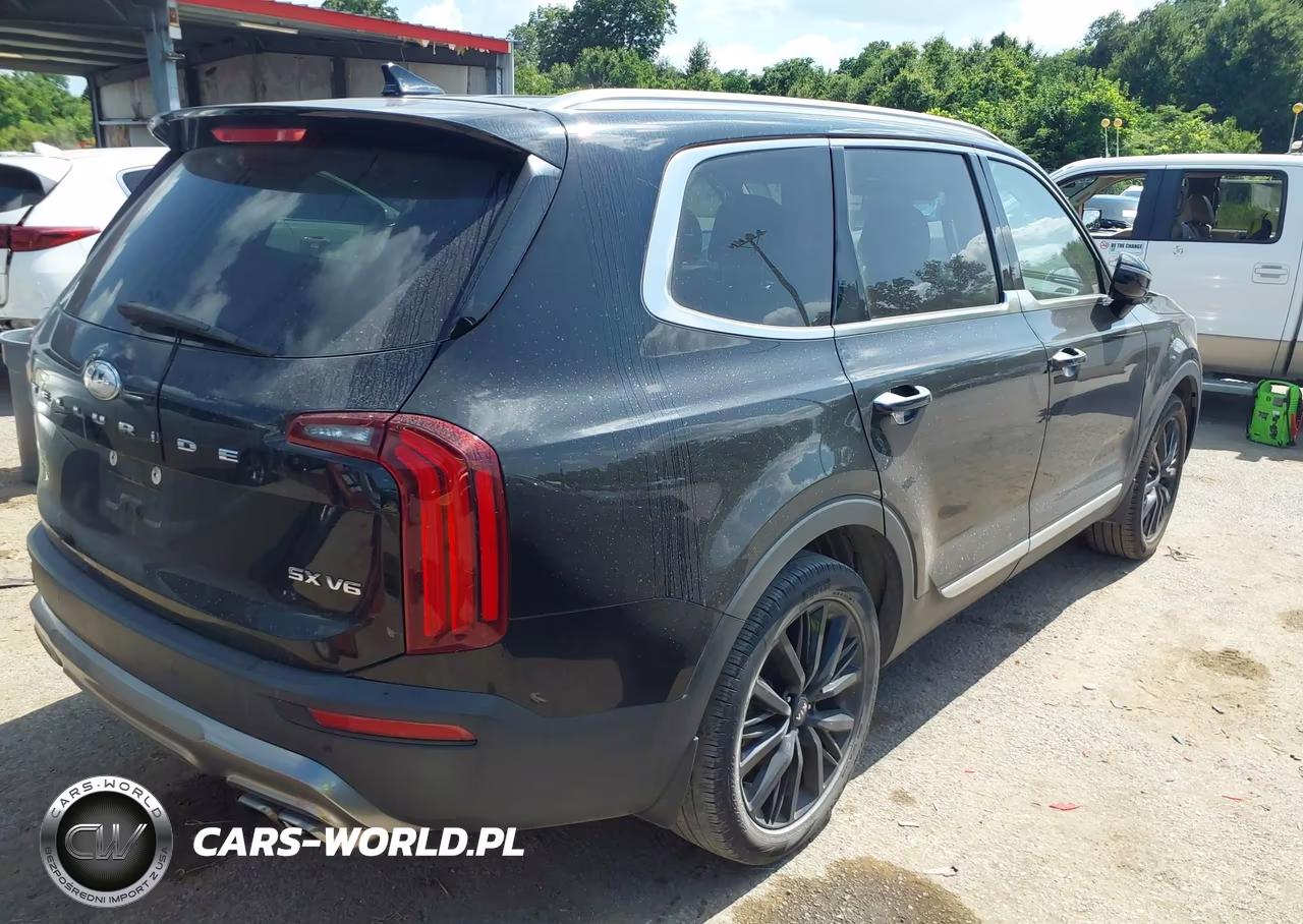 2020 Kia Telluride Sx VIN:5XYP54HC9LG009882 - 4