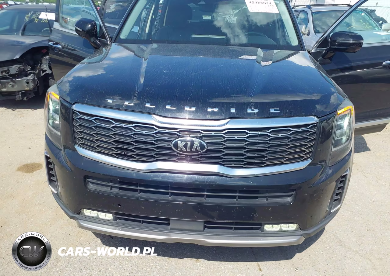 2020 Kia Telluride Sx VIN:5XYP54HC9LG009882 - 6