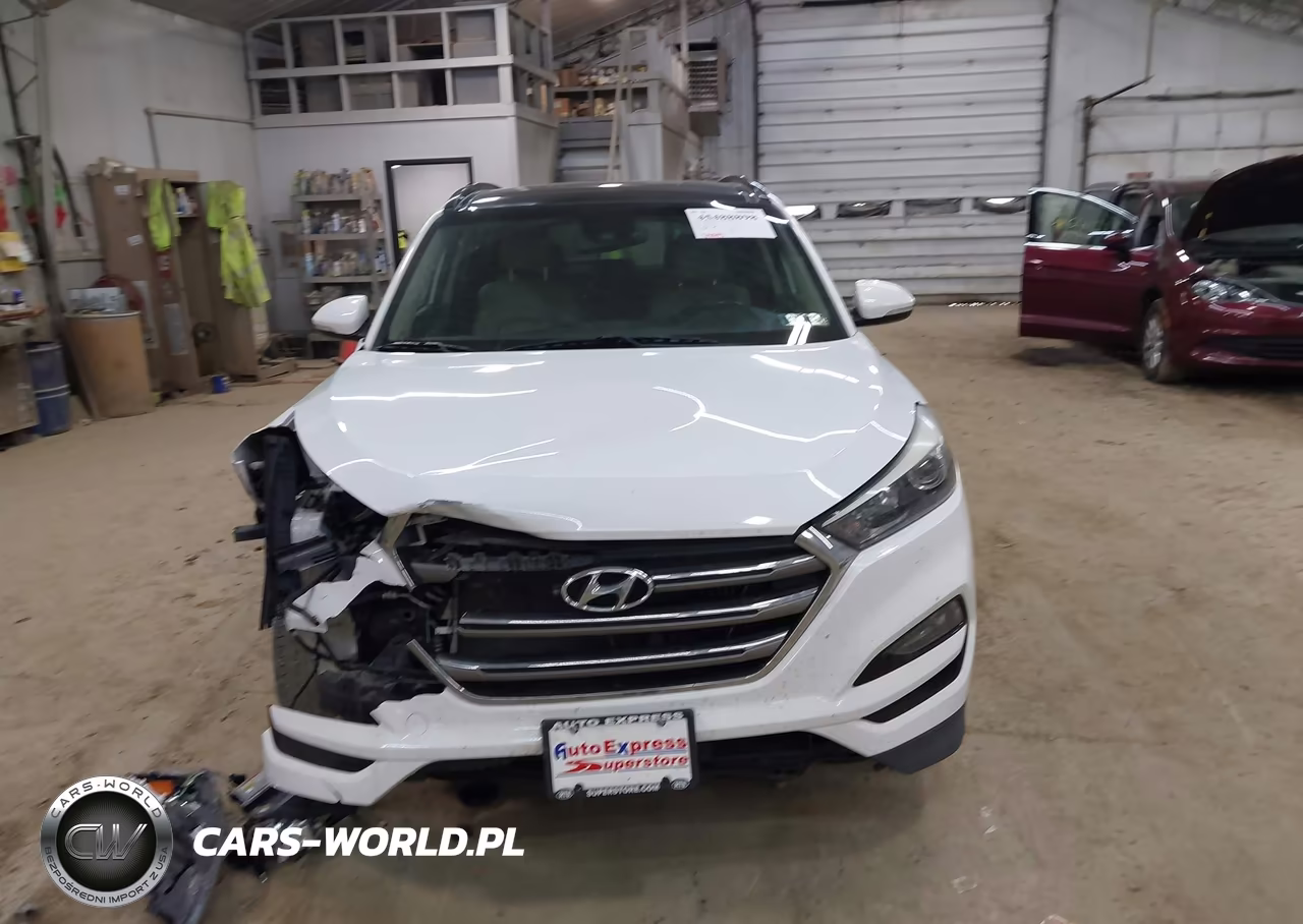 2016 Hyundai Tucson Limited VIN:KM8J3CA20GU137015 - 13